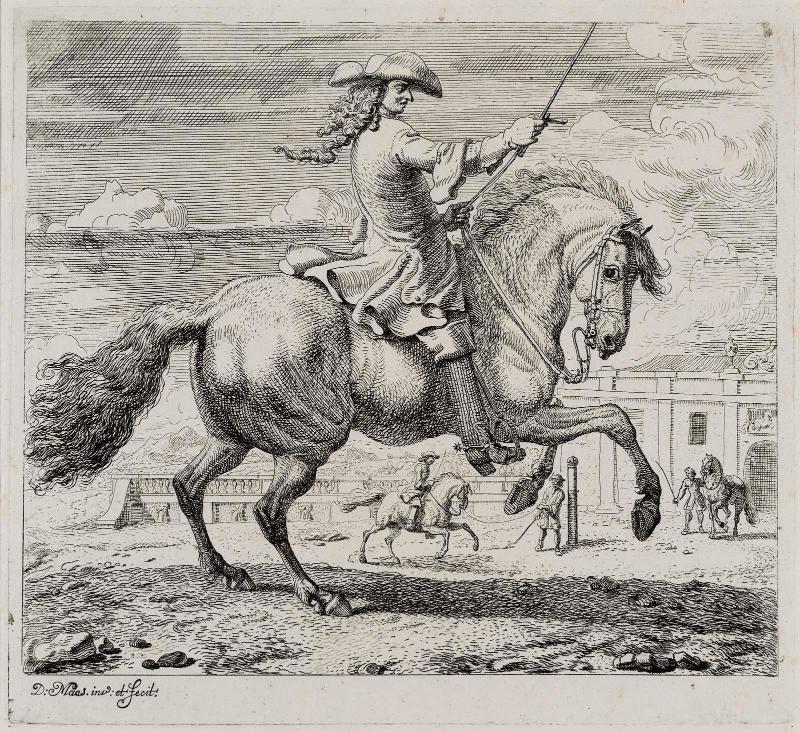 Horse and Rider Performing a Curvet