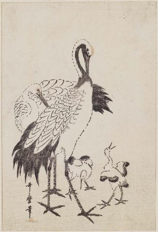 Family of Cranes