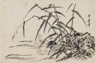 Ducks, Reeds, and Rocks