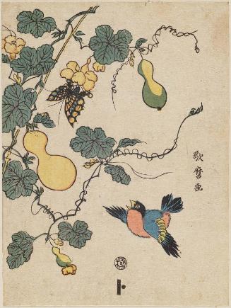 Bird, Gourd Vine, and Butterfly