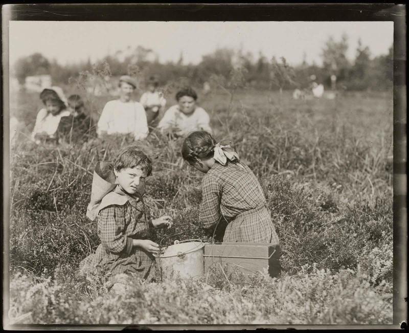 Children Working in the Field