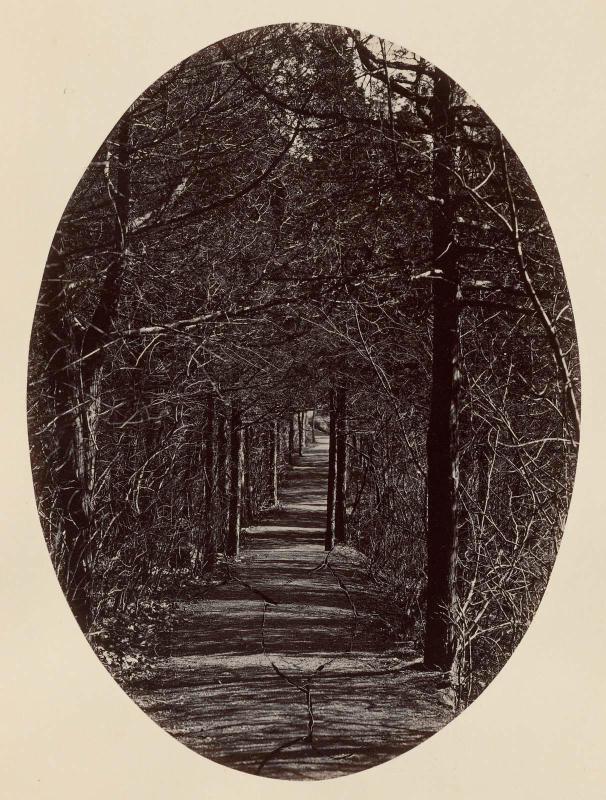 Flirtation Walk