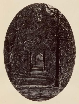 Flirtation Walk