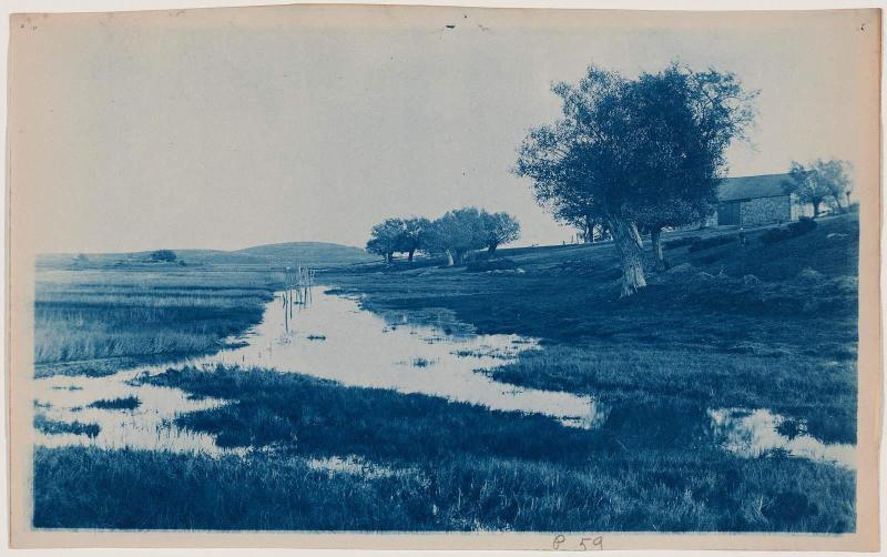 Barn and Trees by a Marshy Field
