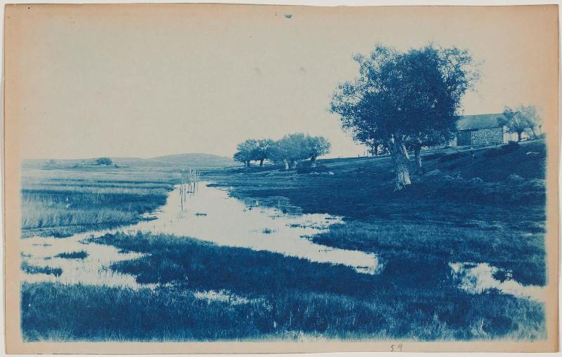 Barn and Trees by a Marshy Field (variant)
