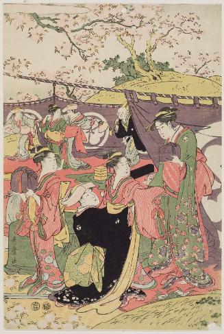 Cherry Blossom Viewing Picnic