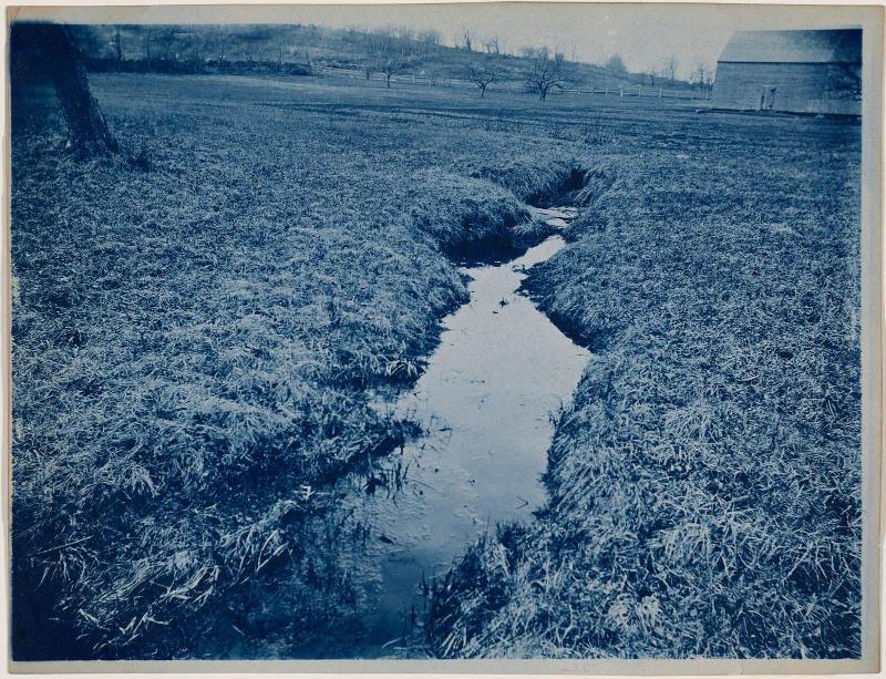 Stream in a Field