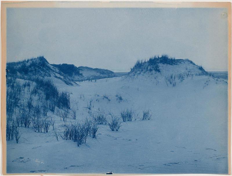 “Sand Dunes”