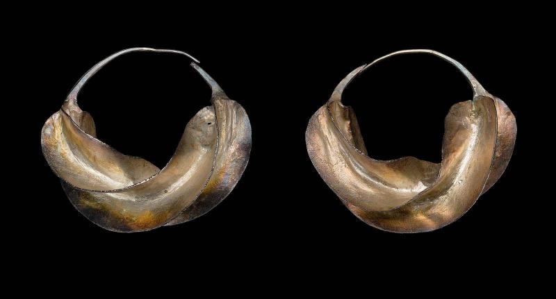 Pair of earrings