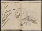 Volume II, Page 7