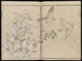 Volume II, Page 8