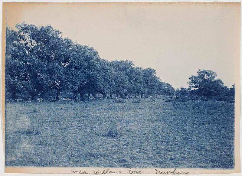 “Near Willow Road, Newbury”