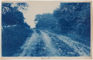 “Spring Street, 1897”