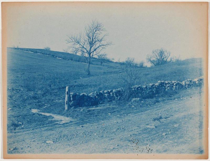 Stone Wall in a Field