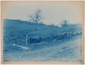 Stone Wall in a Field