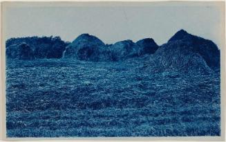 Piles of Hay