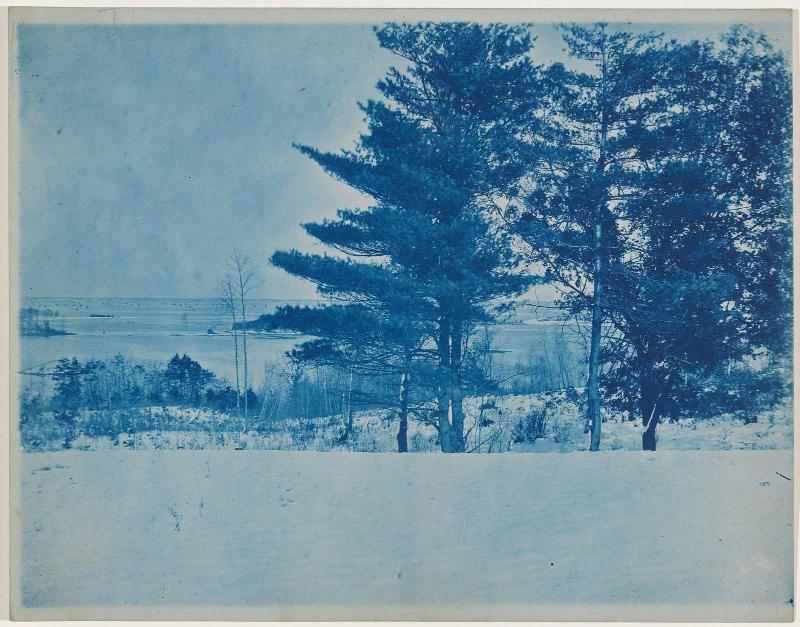 “Trees in a Winter Landscape”