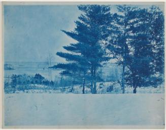 “Trees in a Winter Landscape”