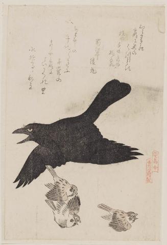 Raven and Sparrows, from the series Comparisons of Birds (Tori awase)
