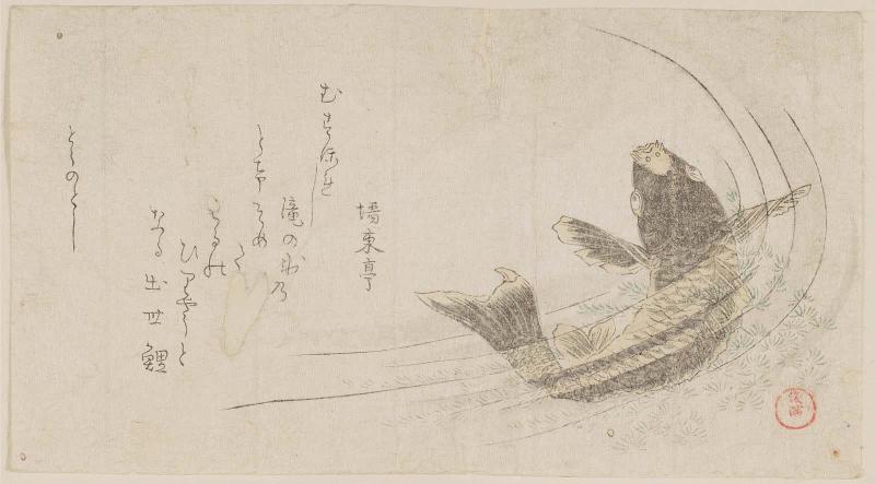 Carp in Water