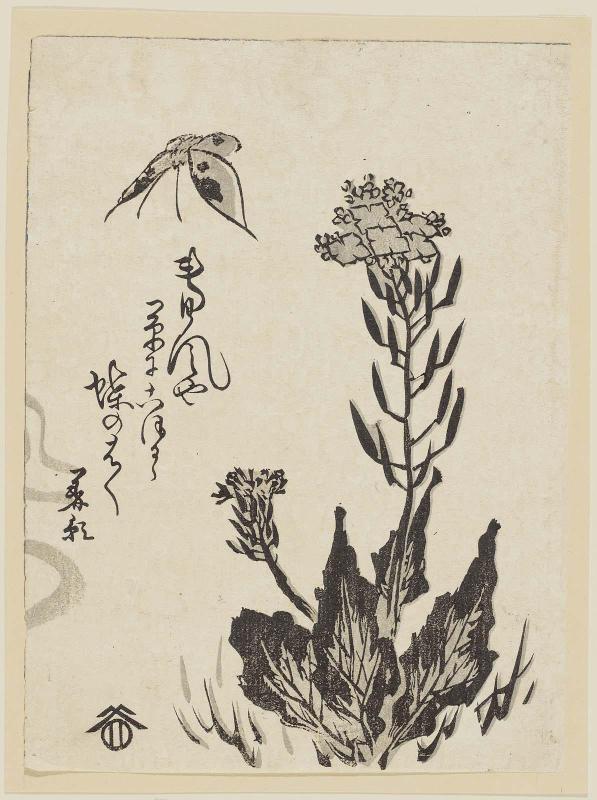 Butterfly and Patrinia (Ominaeshi)