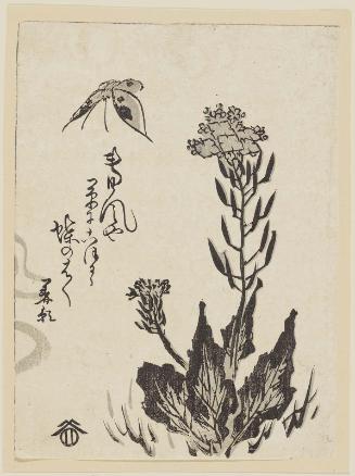 Butterfly and Patrinia (Ominaeshi)