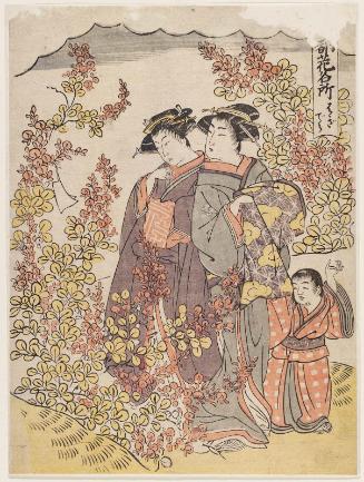 Hagidera, from the series Places in the Eastern Capital Famous for Flowers (Tôto hana meisho)