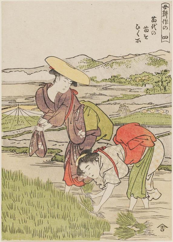 No. 4, Pulling Rice Seedlings from the Seedling Bed (Nawashiro no nae o hiku tokoro),  from the series Women Farming (Onna kôsaku)