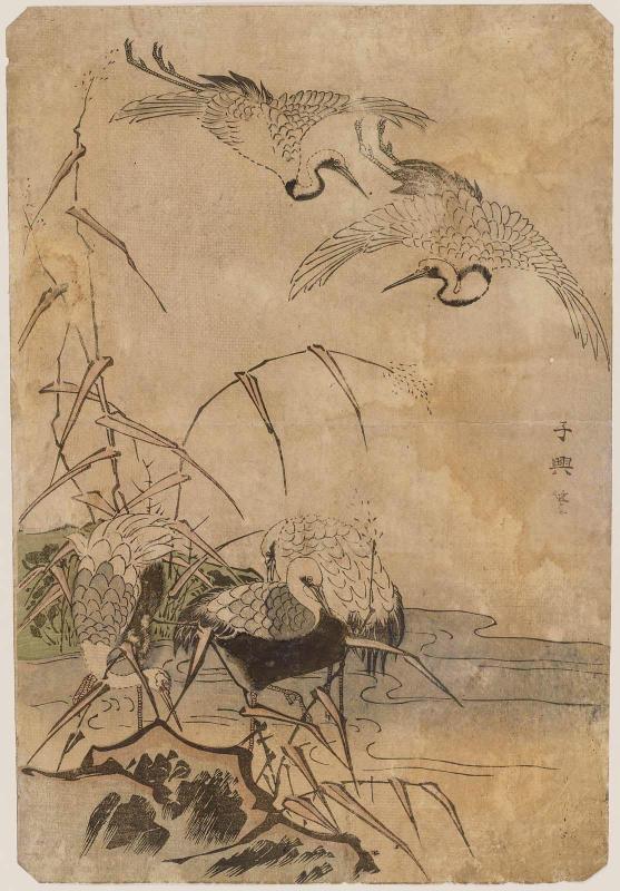 Cranes