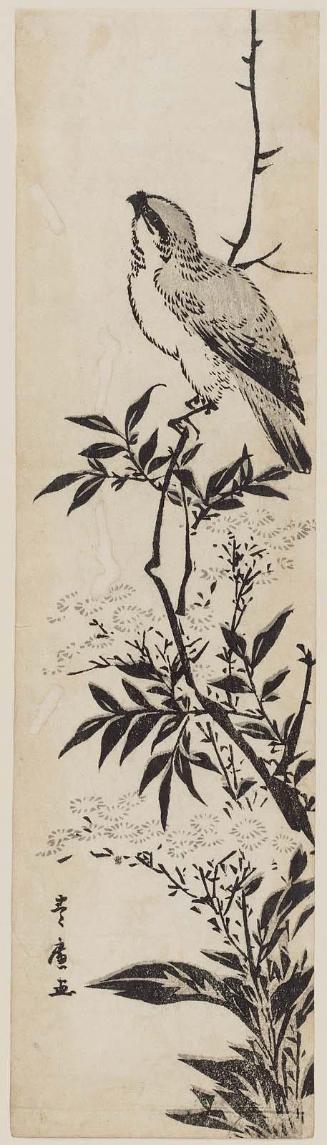 Bird on Branch of Flowering Plant