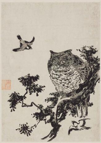 Owl and Sparrows