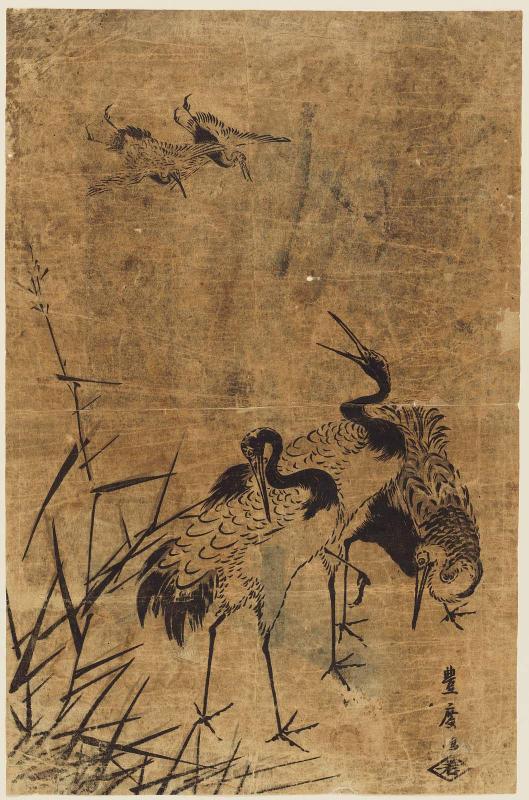 Cranes
