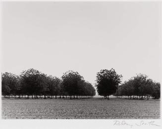 Pecan Grove, Shelby, Mississippi