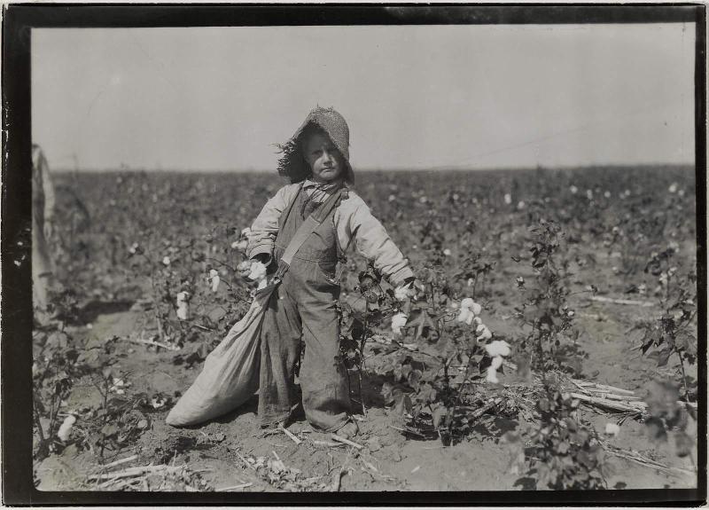A five year old cotton picker who "ain't old nuff to go to school but he can pick up his 20lbs. a day."