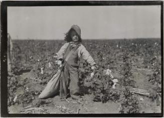 A five year old cotton picker who "ain't old nuff to go to school but he can pick up his 20lbs. a day."