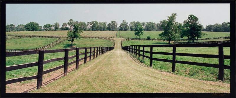 Panorama, Field Entry Path