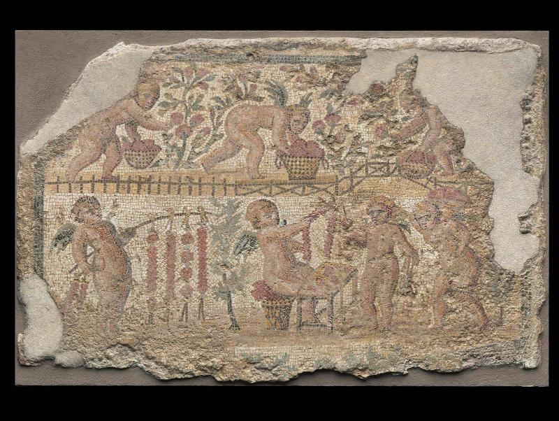 Conservation Status: After Treatment