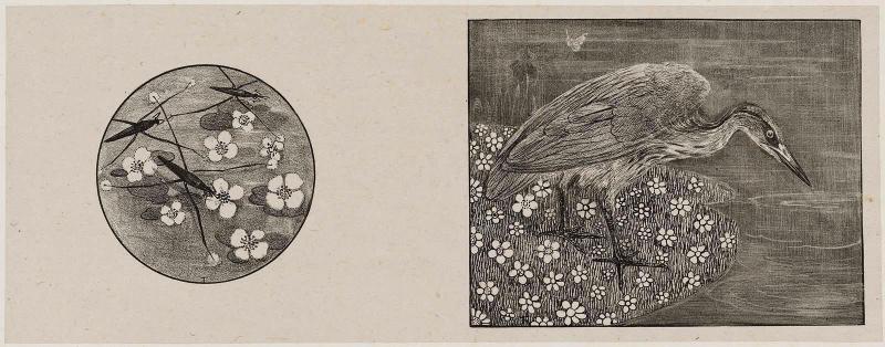 Announcement and Subscription Card for 'Dierstudies'