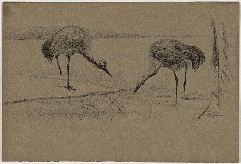 Two Cranes