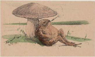 Toad with a Cigarette under a Toadstool