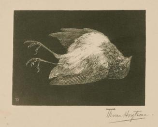 Dead Robin
