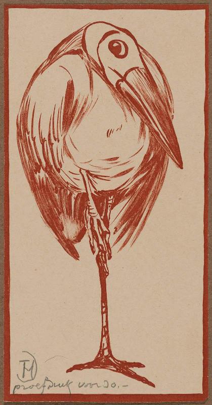 Bird Standing on One Leg