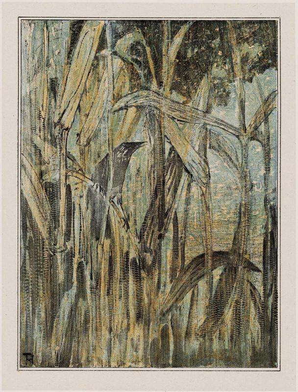 Reed Warbler (1907 Calendar: September)