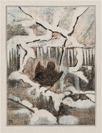 Winter Wren Singing (1907 Calendar: December)