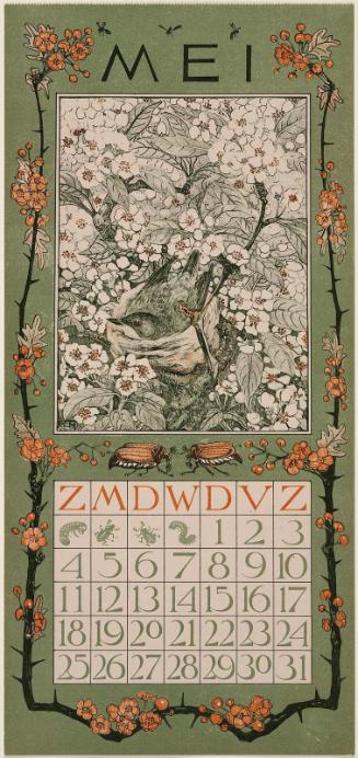 Blackbird Nesting among Blossoms (1902 Calendar: May)