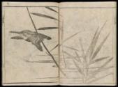 Volume II, Page 9