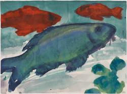 Carp