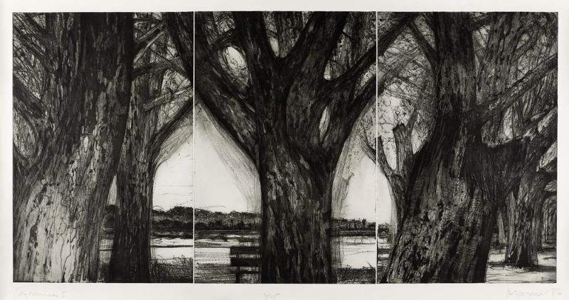 Sycamores 1 (triptych)