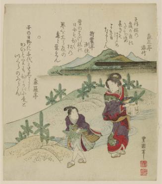 Gathering Pine Shoots at New Year