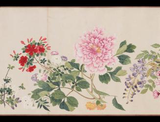 Profusion of flowers